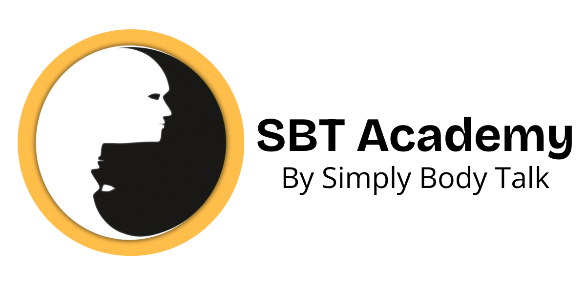 SBT Academy rectangle logo transparent